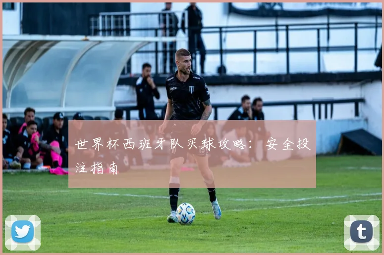 世界杯西班牙队买球攻略：安全投注指南