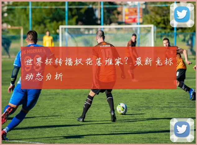 世界杯转播权花落谁家？最新竞标动态分析