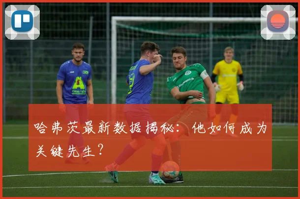 哈弗茨最新数据揭秘：他如何成为关键先生？